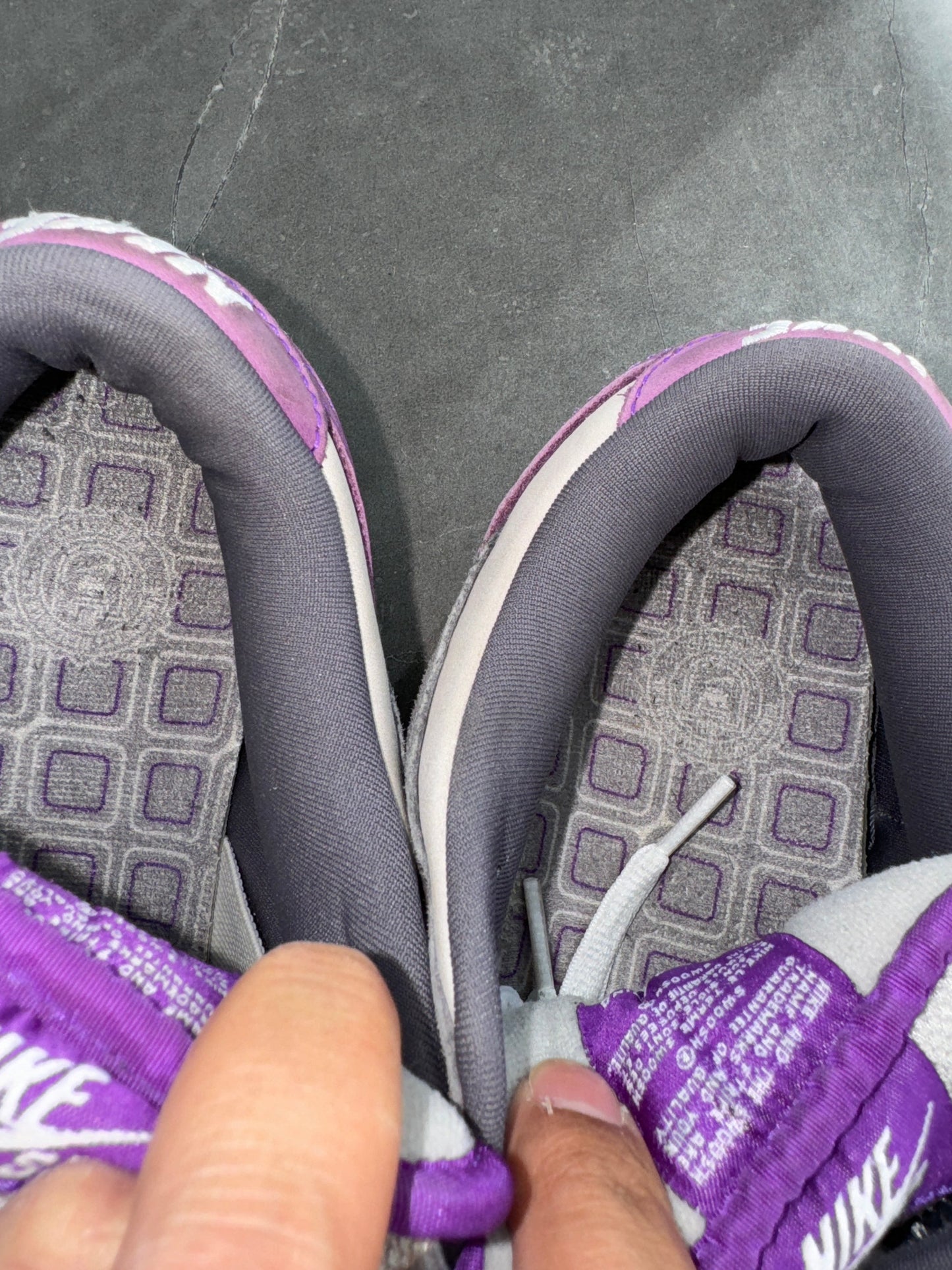 Dunk Low Pro SB Purple Pigeon 2006 UK 10