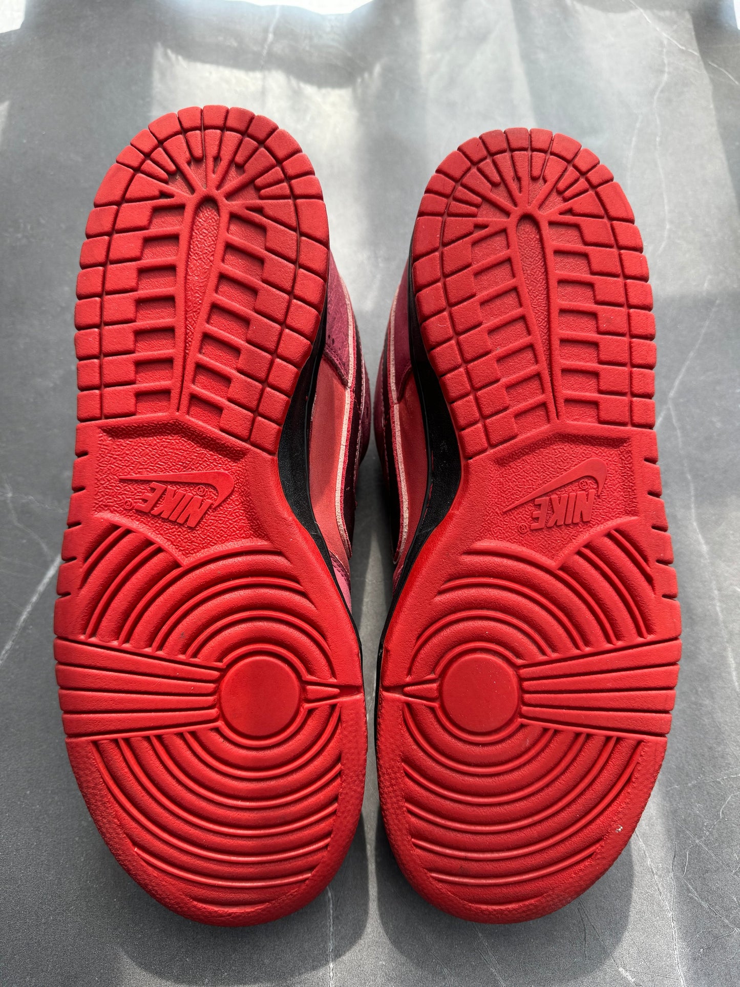 Dunk Low Premium SB Red Lobster UK 10