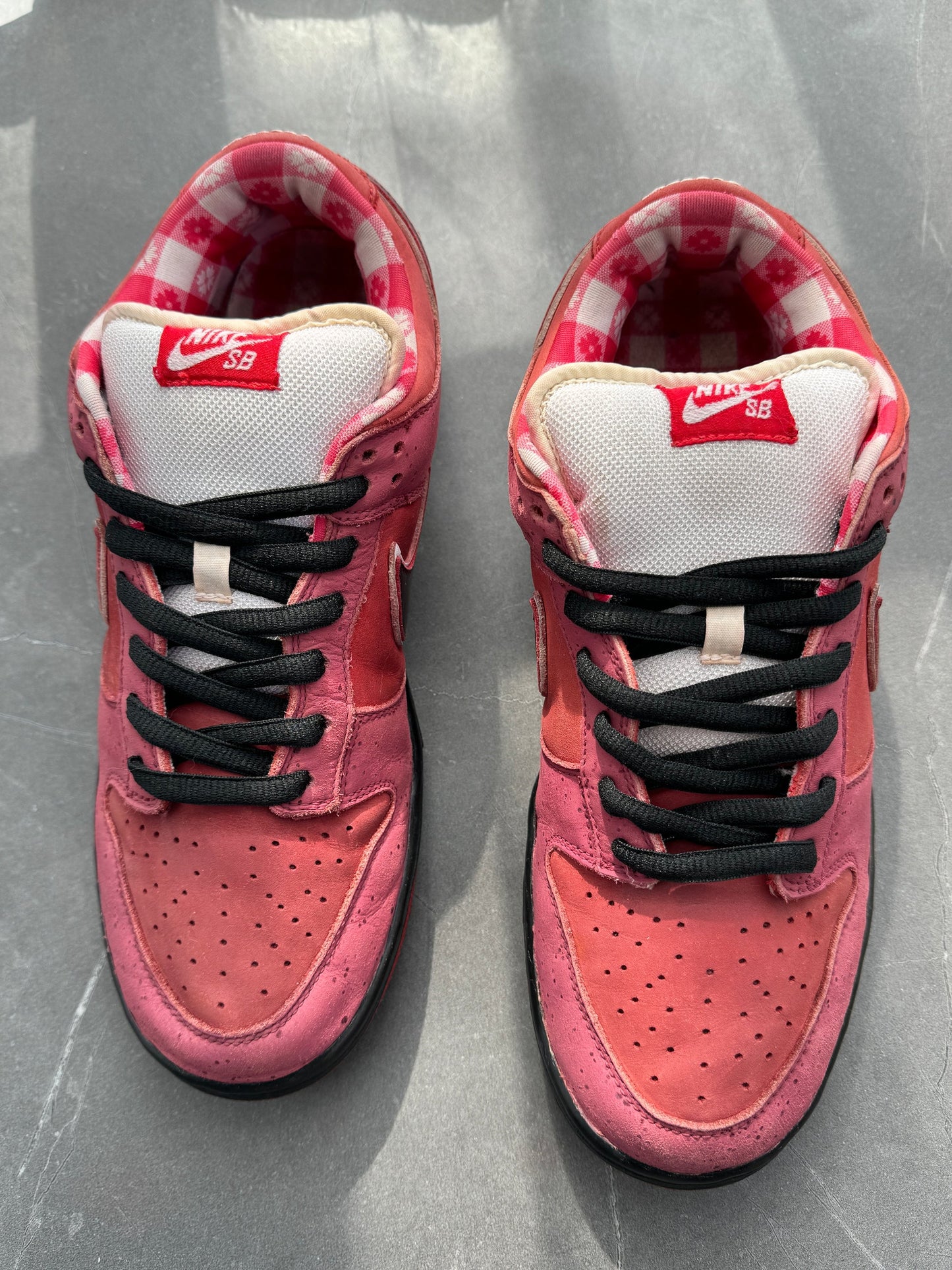 Dunk Low Premium SB Red Lobster UK 10
