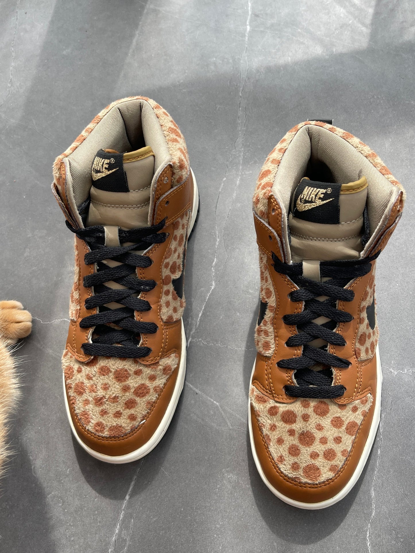 Dunk High GS Sika Deer 2011 UK 4