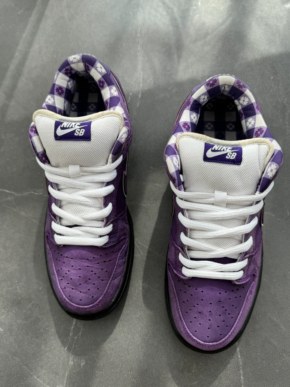 Dunk Low Pro SB Purple Lobster
