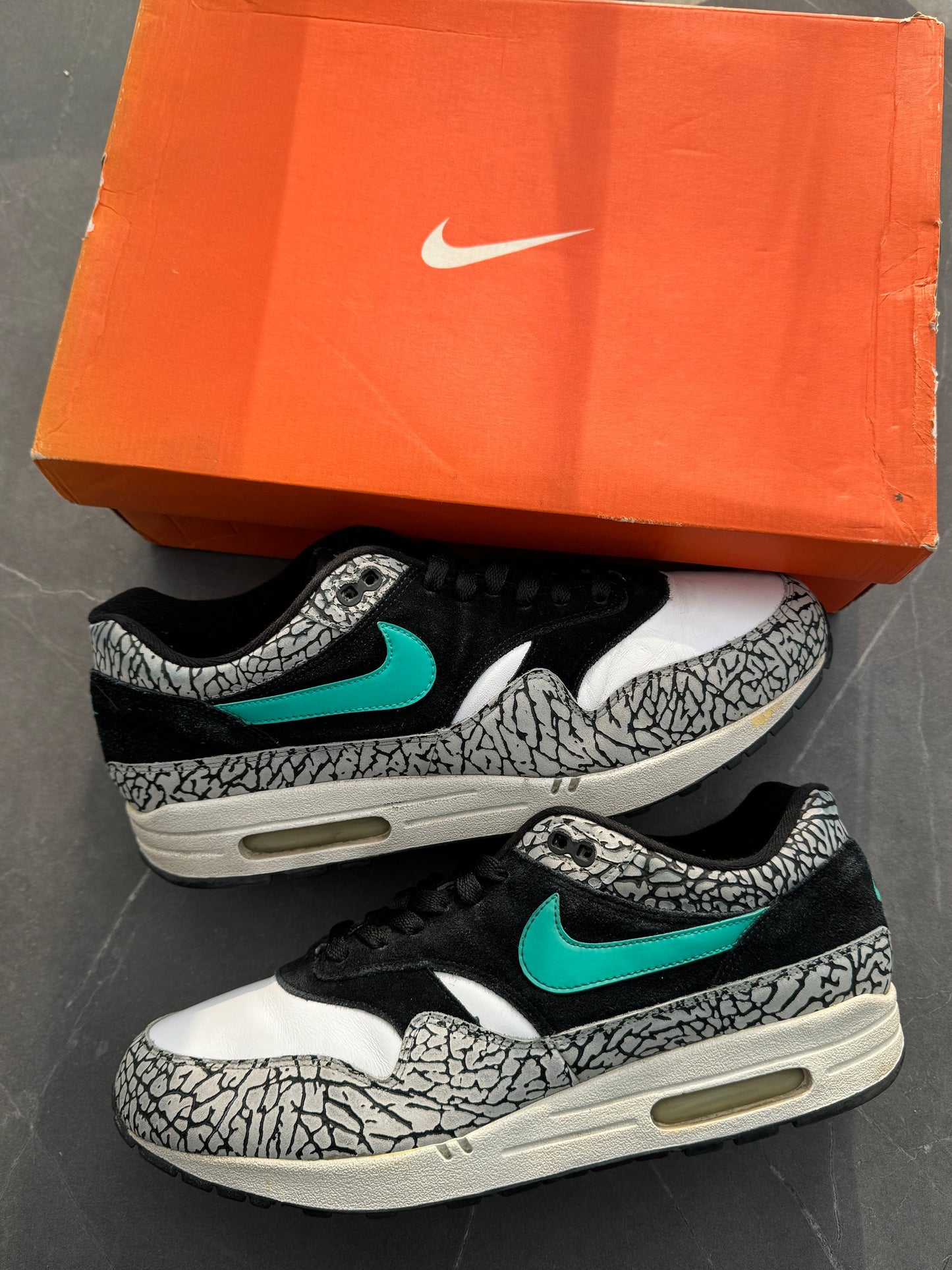 Air Max 1 Atmos Elephant OG 2007