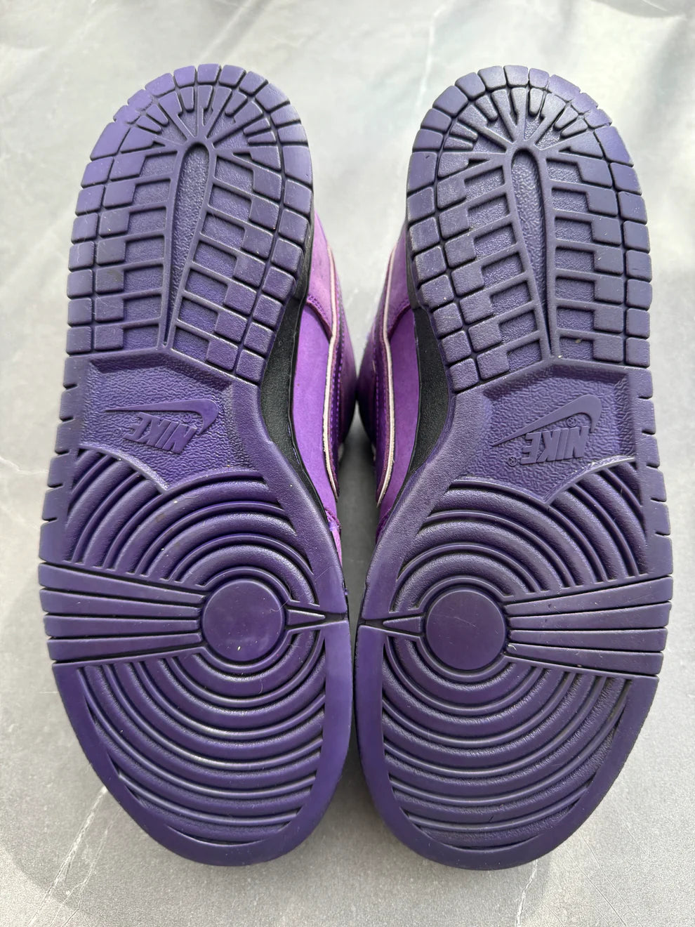 Dunk Low Pro SB Purple Lobster