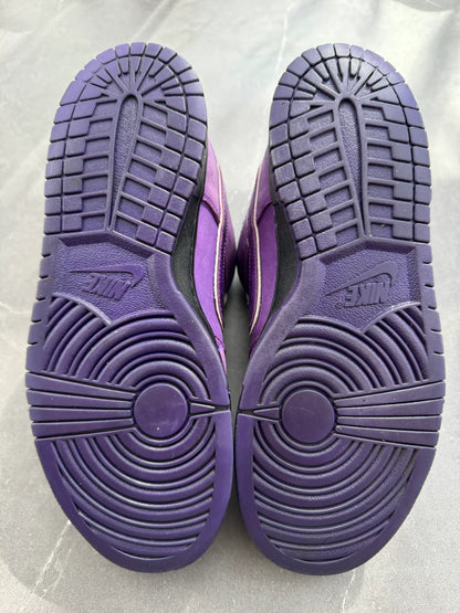 Dunk Low Pro SB Purple Lobster