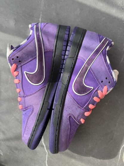 Dunk Low Pro SB Purple Lobster UK 10