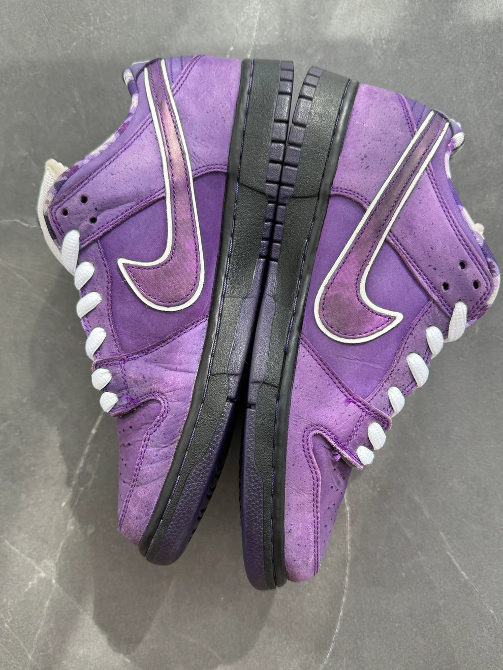 Dunk Low Pro SB Purple Lobster