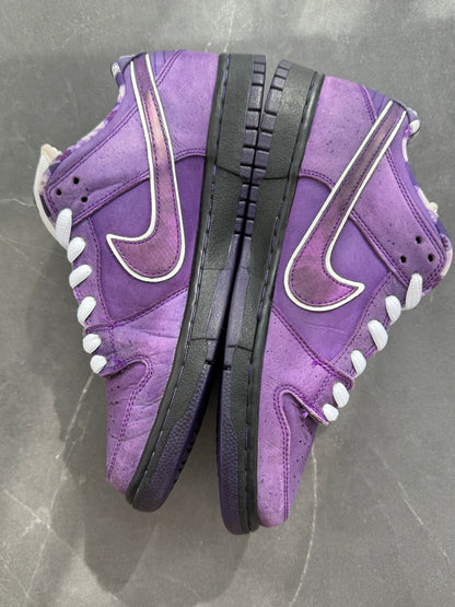 Dunk Low Pro SB Purple Lobster