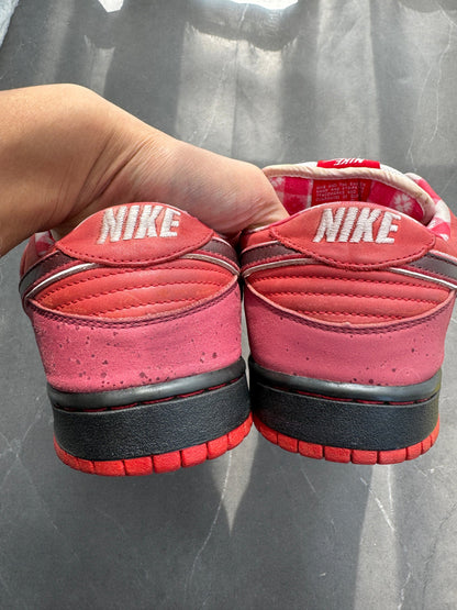 Dunk Low Premium SB Red Lobster UK 10