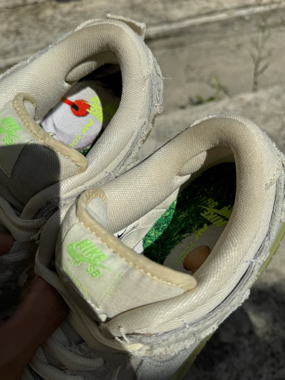 Dunk Low Pro SB Mummy