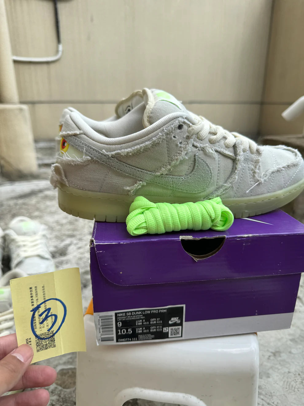 Dunk Low Pro SB Mummy