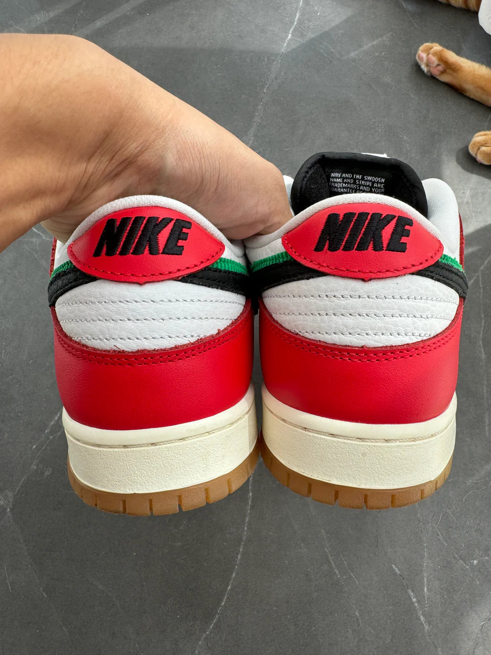 Dunk Low Pro SB Frame Skate Habibi