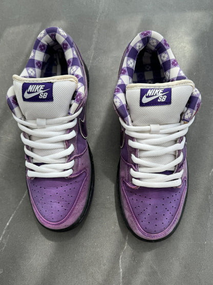 Dunk Low Pro SB Purple Lobster UK 6.5