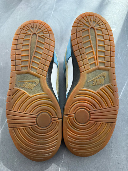 Dunk Low Pro SB Homer