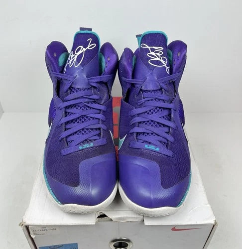 Nike LeBron 9 Summit Lake Hornets