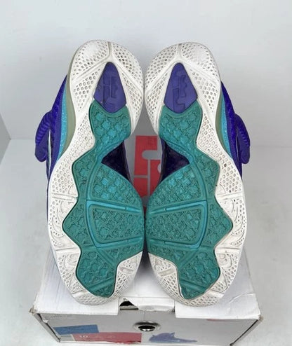 Nike LeBron 9 Summit Lake Hornets