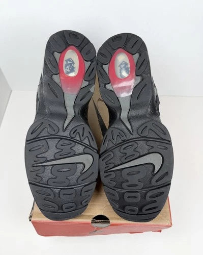Nike Air DT Max '96 Falcons